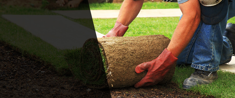 Fitchburg Landscapers